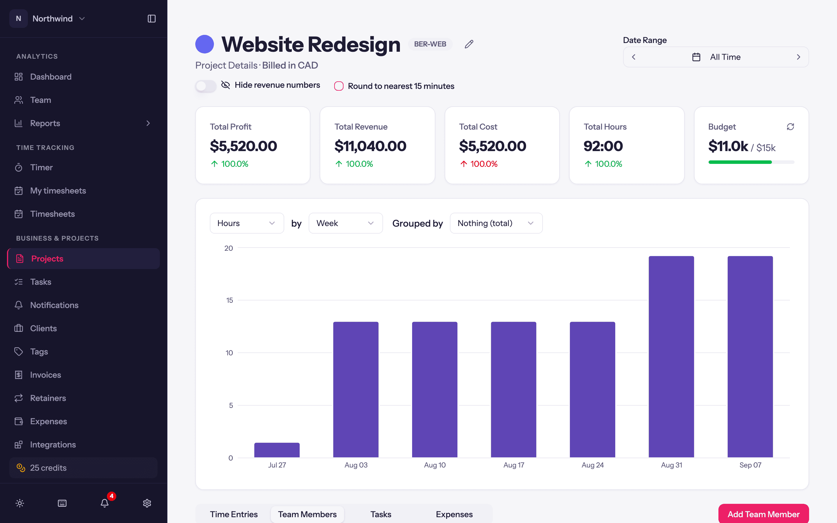 The Team Members tab on a project page, with each person's role, hours and rates.